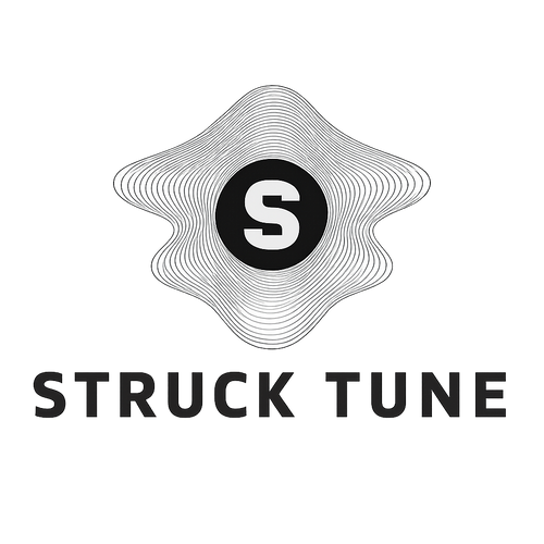 STRUCK TUNE